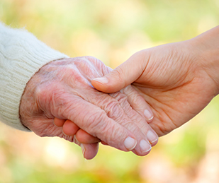 Blumen-Apotheke oHG - Funktionsüberprüfung